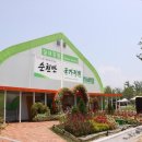 굿모닝 여행사 이미지