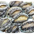 완도참전복 이미지