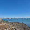 태안호스릴-48 | 태안 출조 후기 (24/11/22) <쭈>