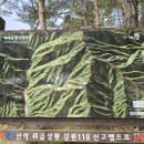 무릉도원면-40 이미지