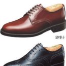 주일렉 Daum카페