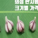 노리터농원