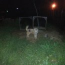 꼬꼬네농장 이미지