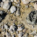 장도민박 이미지