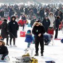 송어축제 이미지