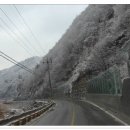 (주)평화고속관광 이미지