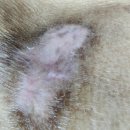 강서스마일재가센터 이미지