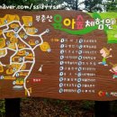 부춘산 유아숲체험원 이미지