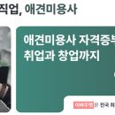 달리애견 이미지