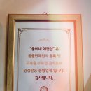 웅이네 애견샵 이미지