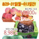 드림야채청과 이미지