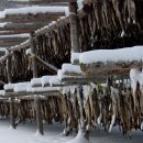 광성목장 이미지