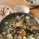 강릉 로컬맛집 &#34;민속옹심이막국수&#34; – 옹심이칼국수에 수육 한 점 (주차가능)