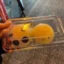 가든미용타운 | 고베 여행 총정리본 | 오사카 근교 여행 끝판왕, 고베(KOBE) 여행할 때 꼭 확인해야 할 A to Z