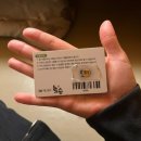 놀숲 | 시간순삭!⏰ 대전 충남대 놀숲 데이트 후기 (+냥이들)