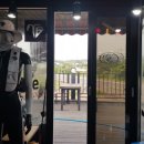 티지코리아 이미지