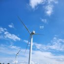 함덕식당 이미지