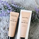 비비 | 파데 대신 쓰는 시크릿키피니쉬업비비크림 후기