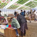 대관령 농장 이미지