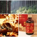 프로폴리스란? 프로폴리스 효능과 좋은 프로폴리스 고르는방법 추천 이미지