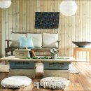 집에서 만나는 자연 이야기 Home in Nature 이미지