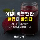 2020-주142 | 아침에 비트 한 잔, 혈압이 바뀐다 – HARUFIT이 전하는 실전 루틴과 과학적 근거