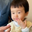 다온쌀국수 | 대구 라이첸 범어점 아기 동반 가능 쌀국수 맛집