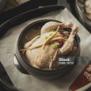 배불리 이미지