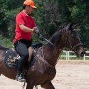 인천승마공원 이미지