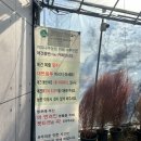 커피나무농원 이미지