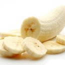 바나나동물병원 이미지