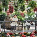 세계평화통일가정연합 | 가평 아이랑 가볼만한곳 베고니아새정원 후기 | 입장료 할인 및 주차 정보