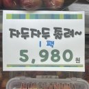 뽀야쿠 | 오늘을 살아내고 우리 내일로 가자