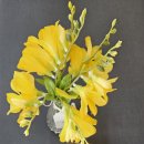 (주)드림매직 이미지