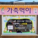 무지개뜨는마을(가동) | 안성팜랜드물놀이 목장체험도하고 여름한정이벤트 안성팜랜드버블버블예약하고놀자