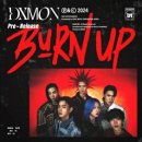 DXMON / Burn up (원key Ebm) mr 이미지