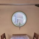 숲속다람쥐펜션 | 수원 행궁동카페 모종🌱숲속 다람쥐 마을 감성카페🐿☕️ 피스타치오 티라미수 시식후기