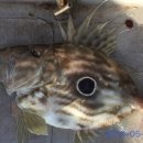 통영펜션하늘채 이미지