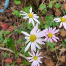 서흥농장 이미지