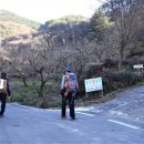 용성꿩농장 이미지