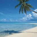 꿈꾸는 바다 이미지