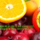 후레쉬팩토리 이미지