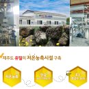제주벌꿀영농조합법인