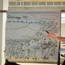 정원장식당 | 세부 오션플레이어 4박 5일 스쿠버다이빙 후기 _ 11월