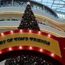 타임스케어 이미지