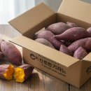 영암농산물 품질관리소 | 해뜨온 25년 햇고구마 호풍미 품종 솔직 후기