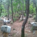 종봉농장 이미지