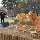 선사시대로 테마거리 이미지