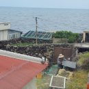 고등어회결사 이미지