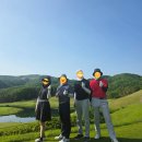 동 막 | [워킹언니 필드 이야기] 경기 용인 아시아나 cc 동코스 라운드 후기 (ft. 여기가 왜 명문 구장이지??)
